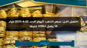 احصل الآن: سعر الذهب اليوم الأحد 20-4-2025 عيار 14 يصل لـ3190 جنيها